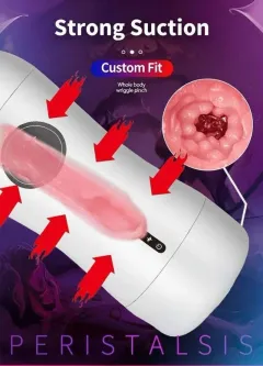 Fully automatic male masturbator voice response control interface