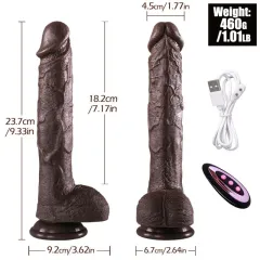 Dimensions diagram with measured length and width