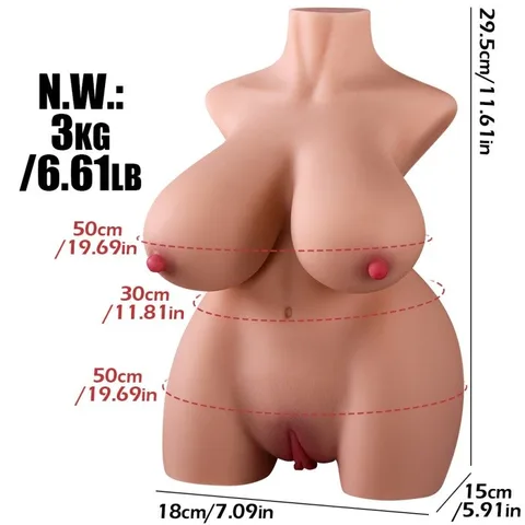 Dimensional chart showing height, bust, waist and hip measurements