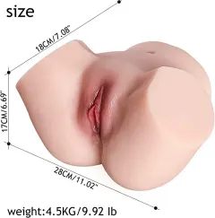 Size guide showing the hip torso doll dimensions and proportions