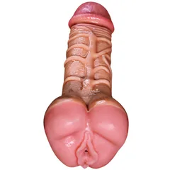 View into the hollow base where the vulva-shaped opening sits between sculpted testicles