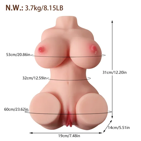 Size diagram listing 31cm height and 60cm hip measurements