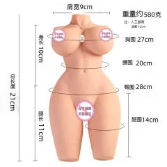 Size chart for the mini half-body torso doll showing length width and weight