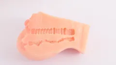Ribbed internal texture inside the doll dual channels