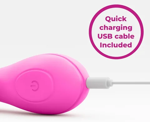 Vibrator KY-22 Charging Instructions