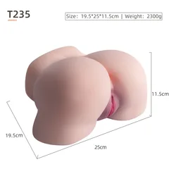 Dimension diagram for model T235 with 19.5 x 25 x 11.5cm measurements
