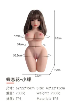 Dimension chart for the 62cm half-body torso doll with bust waist and hip measurements