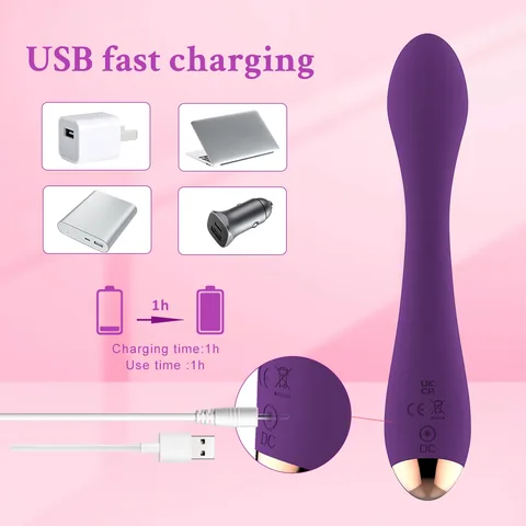 Vibrator 038 GM 466 Magnetic Charging Illustration