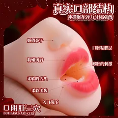 Cutaway of the oral channel showing lips tongue teeth and palate